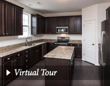 best of Virtual Domination tour homes