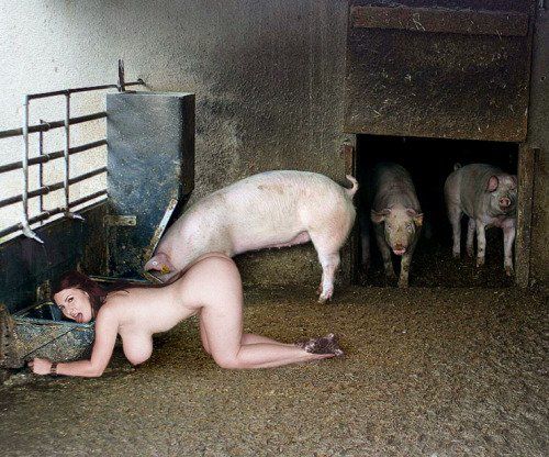 Порно Женщин Русских Со Свиньями